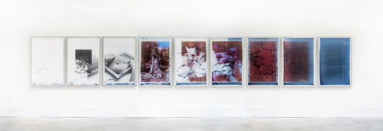 Jaya Pelupessy, 'Pictorial Fields, No. 01 to 09', 2024