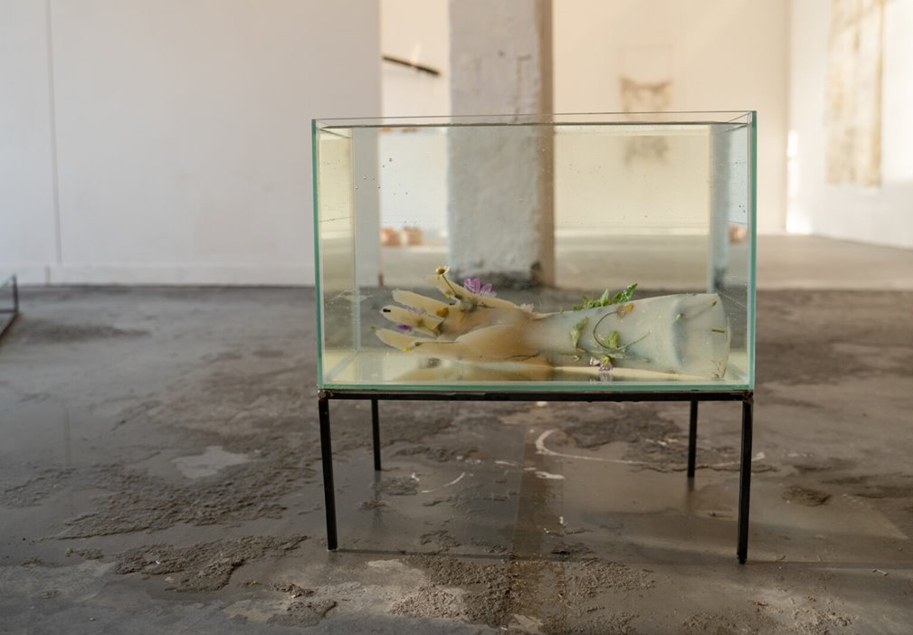 The Watery Body - Sarah Fokke