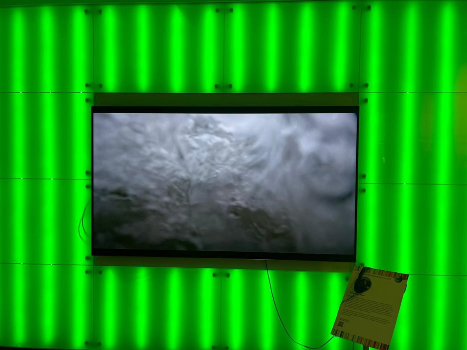 Rashel van der Schaaf