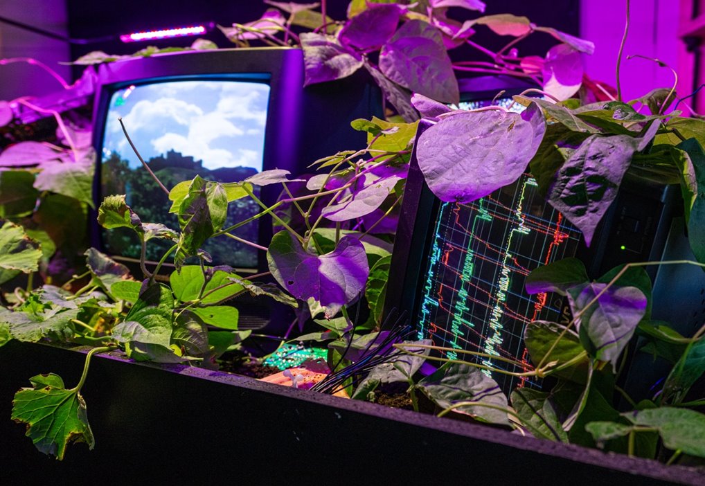 Doodzonde Maryam de Vries